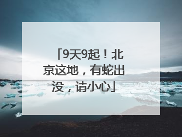 9天9起！北京这地，有蛇出没，请小心