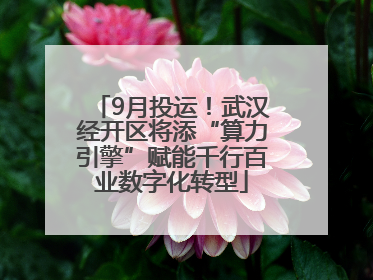 9月投运！武汉经开区将添“算力引擎”赋能千行百业数字化转型