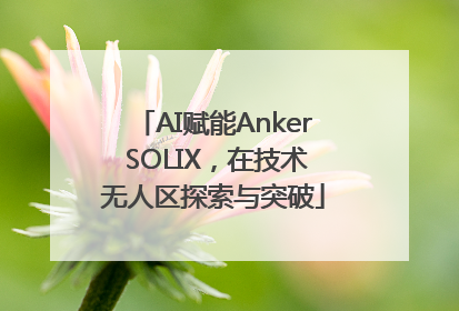 AI赋能Anker SOLIX，在技术无人区探索与突破