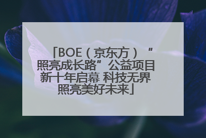 BOE（京东方）“照亮成长路”公益项目新十年启幕 科技无界照亮美好未来
