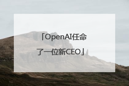 OpenAI任命了一位新CEO