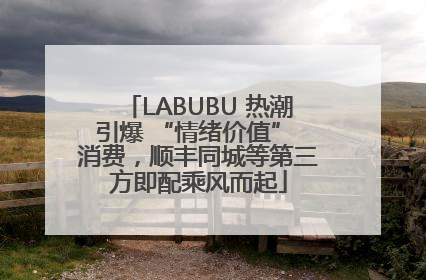 LABUBU 热潮引爆 “情绪价值” 消费，顺丰同城等第三方即配乘风而起