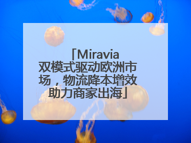 Miravia双模式驱动欧洲市场，物流降本增效助力商家出海