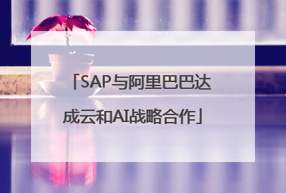 SAP与阿里巴巴达成云和AI战略合作
